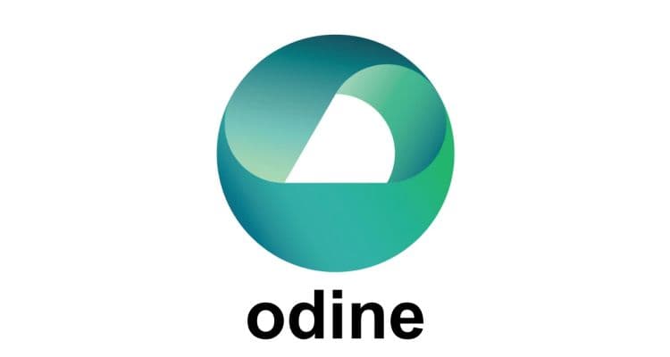Odine Solutions Teknoloji A.Ş. (ODINE): Hisse Yorumları ve Beklentiler