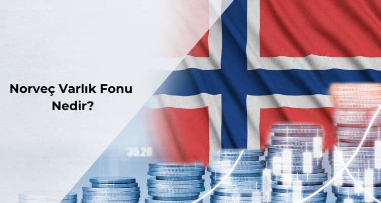 Norveç Varlık Fonu Türkiye’de Hangi Hisselere Ortak Oldu?